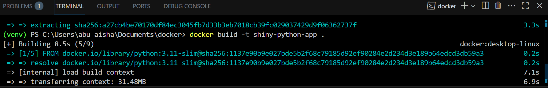 How to Dockerize a Python Shiny Application